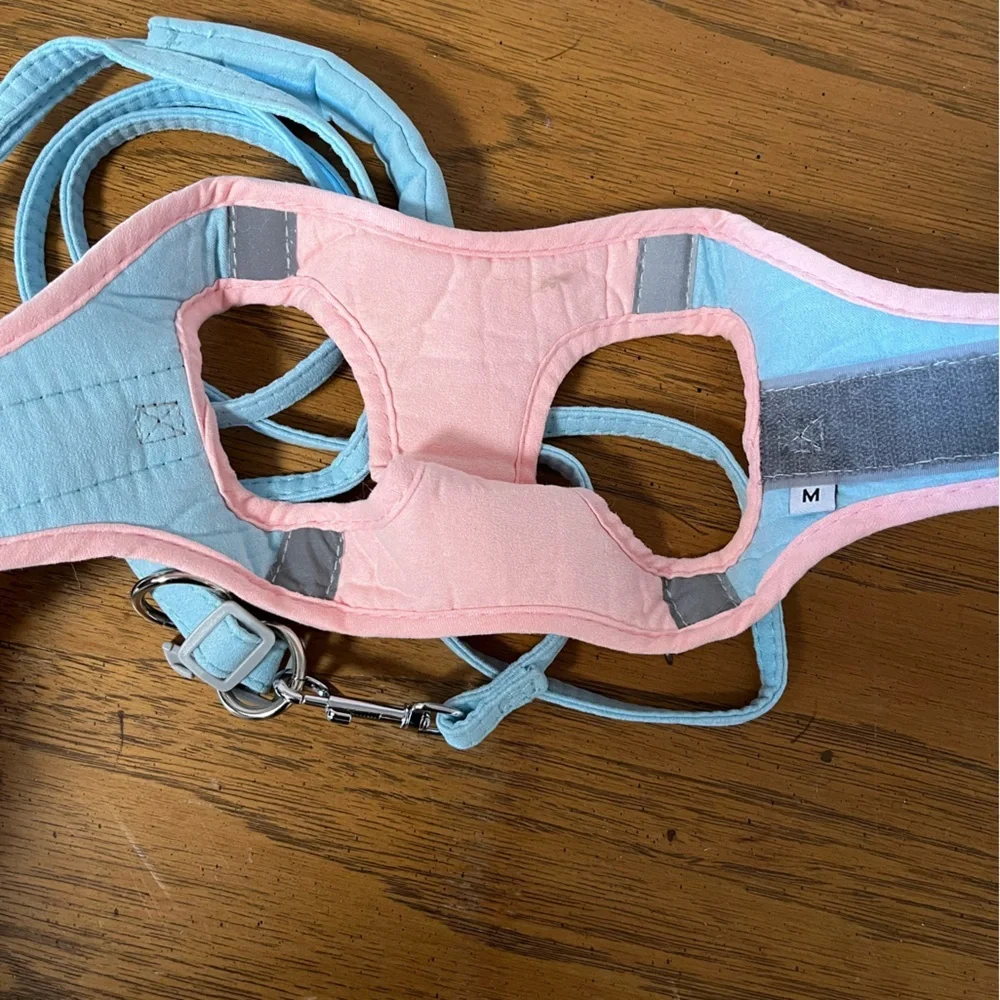 Pet Harness and Leash